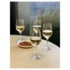 Plastic Wine Glasses Set of 4 (12oz), BPA Free Tritan Wine Glass Set, Unbreakable Red Wine Glasses, White Wine Glasses - as Pic