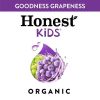 Honest Kids Organic Goodness Grapeness Grape Fruit Juice, 6.75 fl oz, 8 Pouches - Honest